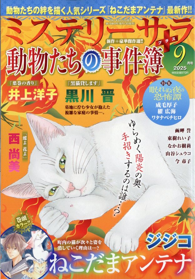 MysterySara(ߥƥ꡼)2025ǯ9[]