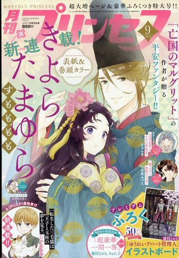 月刊プリンセス 雑誌＊ 秋田書店 月刊 プリンセス 1995年 1～9月号11/12月号 11