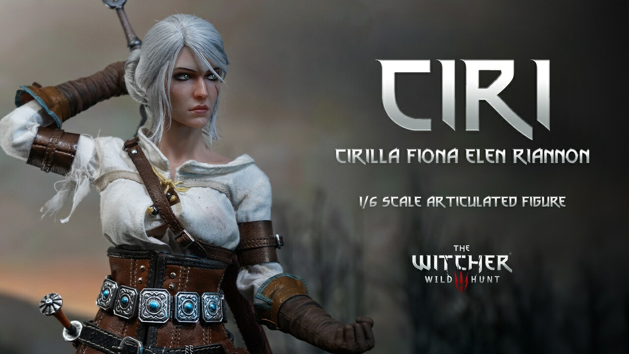 إå㡼3磻ɥϥȡ/ȥΥ1/6ե奢1004390(ե奢)ڥ쥸åȥɷѸ