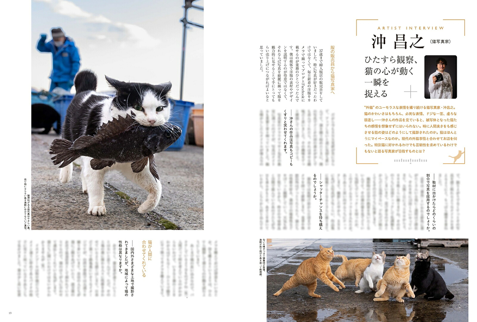 Artcollectors(アートコレクターズ)2026年9月号[雑誌]