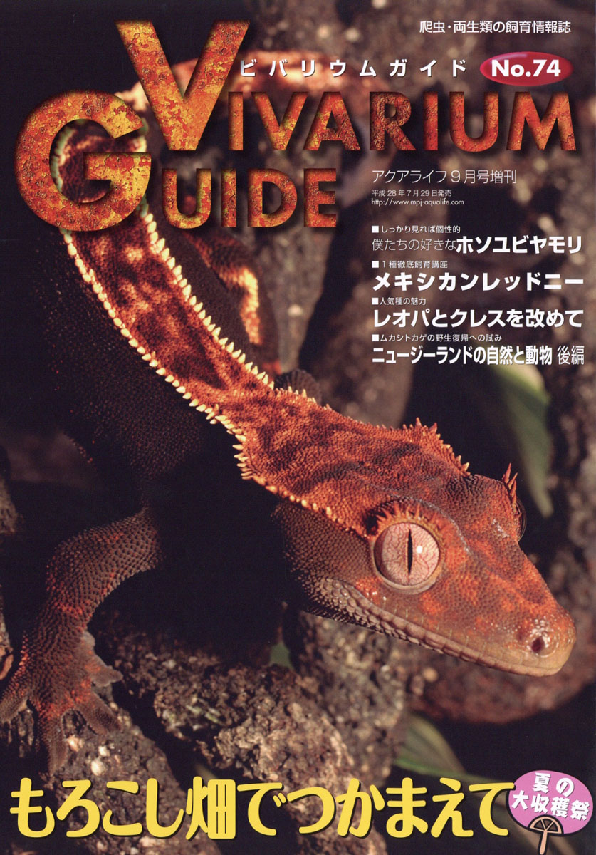 楽天ブックス ビバリウムガイド No 74 16年 09月号 雑誌 エムピー ジェー 雑誌