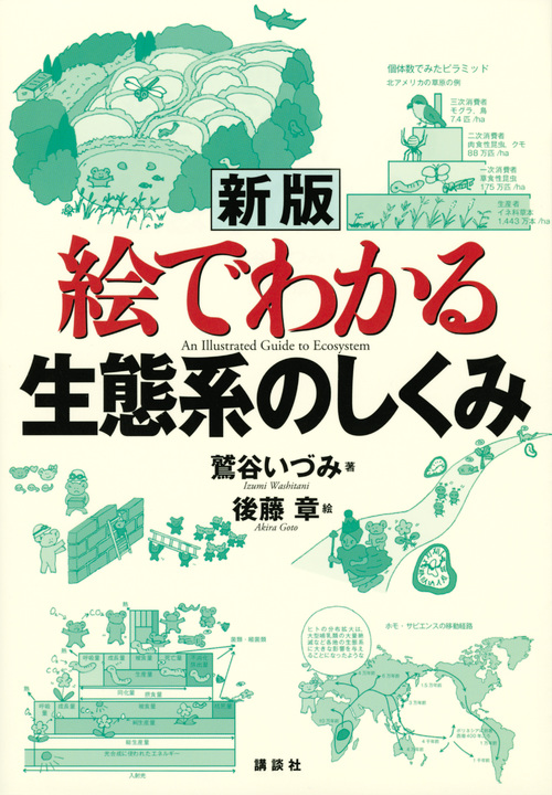 楽天ブックス: 新版 絵でわかる生態系のしくみ - 鷲谷 いづみ