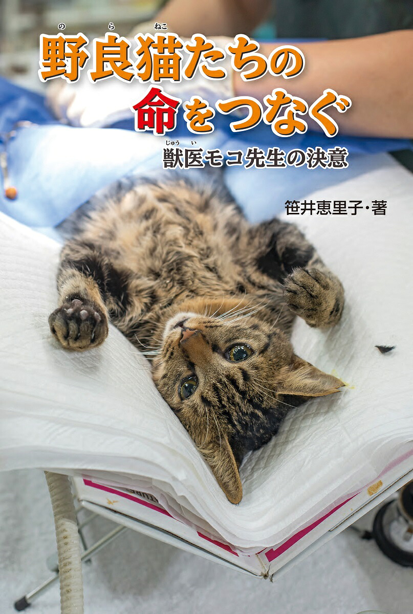 野良猫たちの命をつなぐ獣医モコ先生の決意[笹井恵里子]