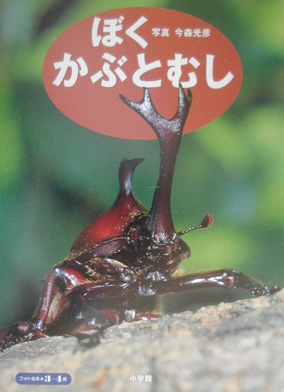ぼくかぶとむし ぼくかぶとむし 楽天ブックス: ぼくかぶとむし - 今森光彦