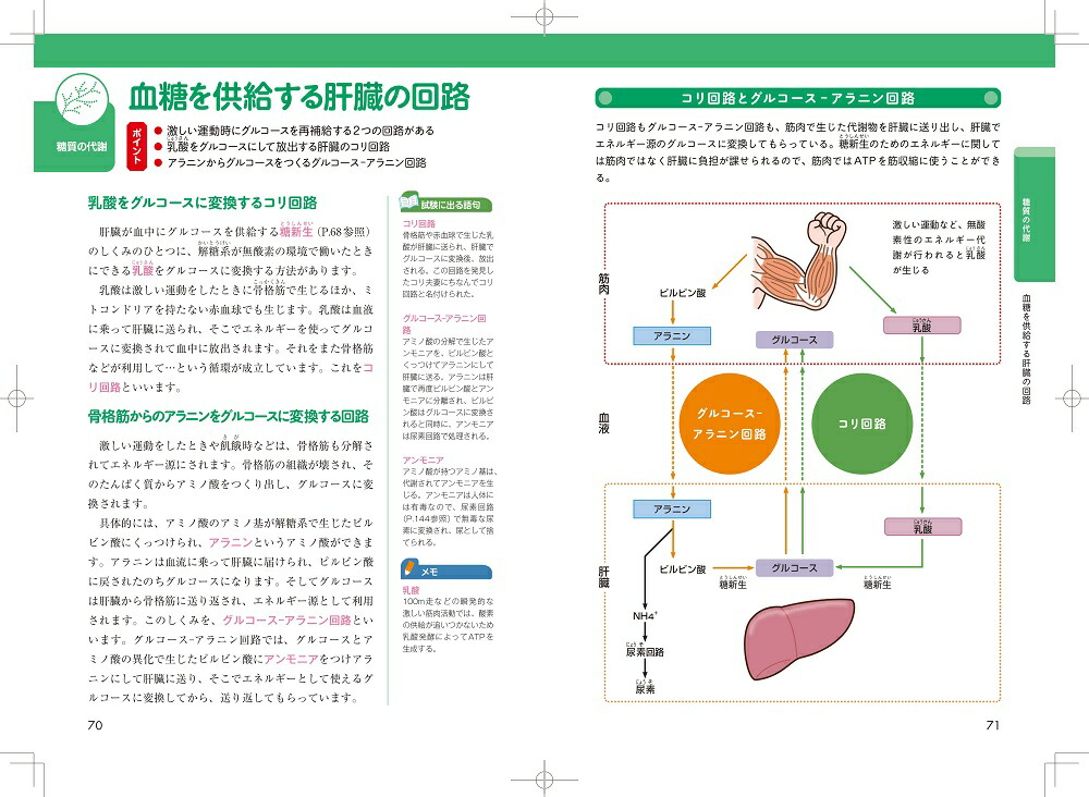 楽天ブックス 運動・からだ図解 生化学の基本 一條秀憲 9784839980979 本