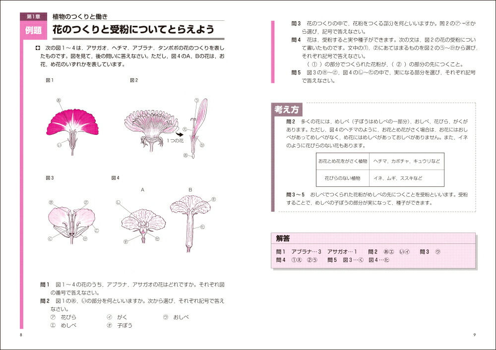 楽天ブックス ウイニングステップ 小学5年 理科 日能研教務部 本