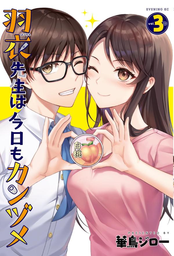 羽衣先生は今日もカンヅメ(3) 表紙
