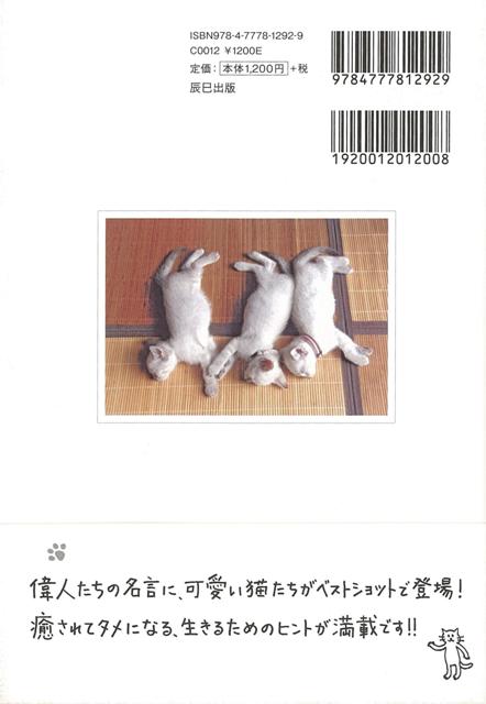 楽天ブックス バーゲン本 迷ったとき 悩んだときのニャンダフル 100名言 ネコまる編集部 編 本