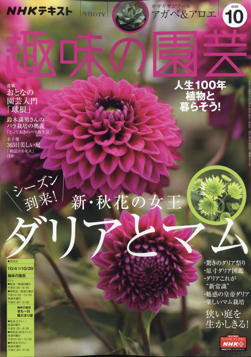 楽天ブックス Nhk 趣味の園芸 年 10月号 雑誌 Nhk出版 雑誌