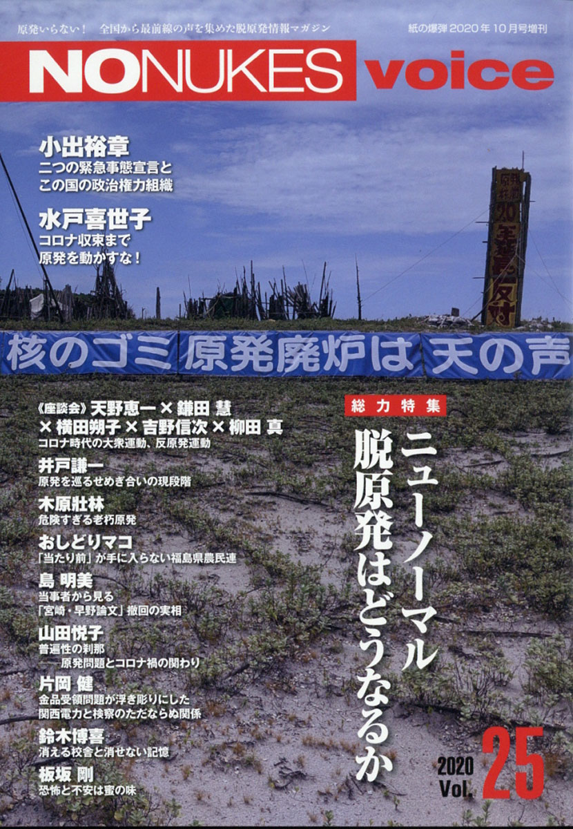 安い no nukes 雑誌