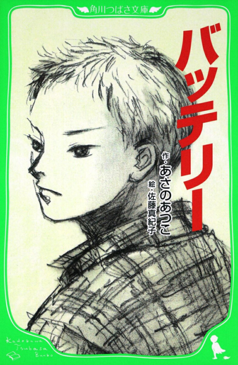 バッテリー画像