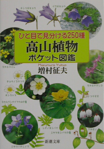 楽天ブックス: 高山植物ポケット図鑑 - ひと目で見分ける250種 - 増村