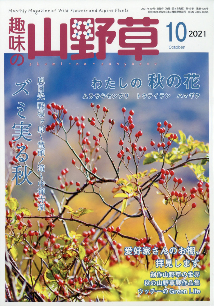 趣味 安い の 山 野草 雑誌