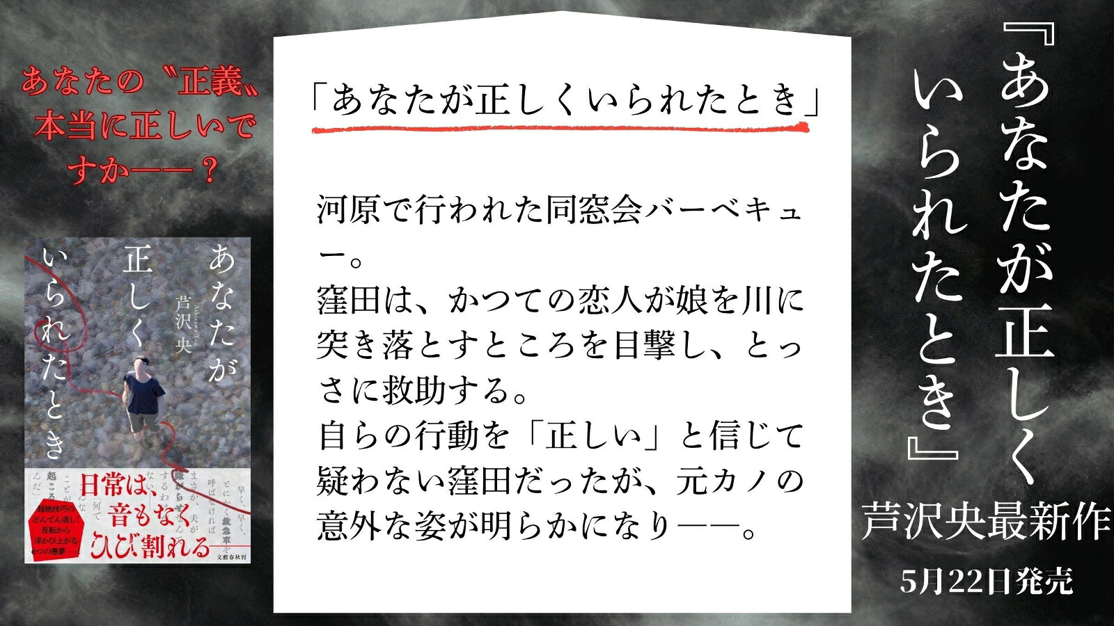 あなたが正しくいられたとき[芦沢央]