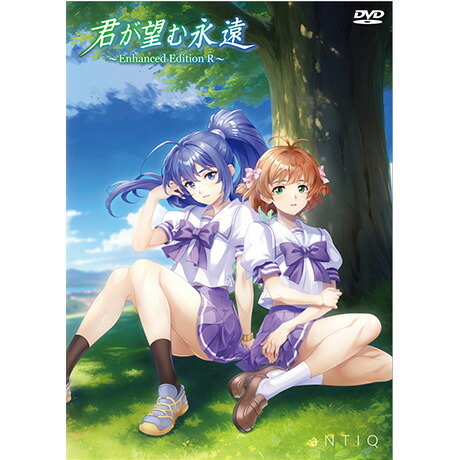 a*m様 君が望む永遠 トレーディングカード　約130枚ダブリ少量あり 楽天ブックス: 君が望む永遠 ～Enhanced Editon R～ 初回生産版