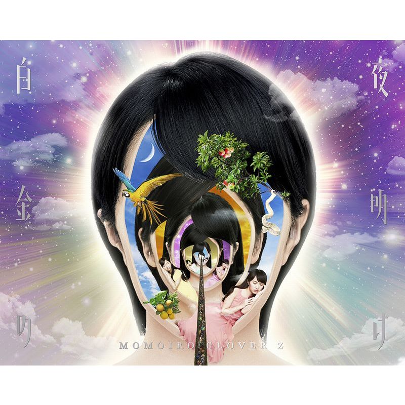 ブックス: MOMOIRO CLOVER Z DOME TREK 2016“AMARANTHUS / 白金の夜明け” Blu-ray BOX【Blu-ray】 - ももいろクローバーZ - 4988003841027 : DVD