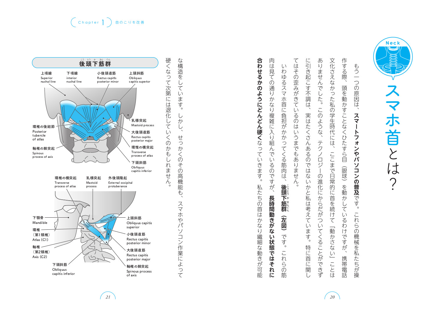 楽天ブックス セラピストがよくわかる魔法の教科書 解剖生理 ストレッチマスター 上原 健志 本