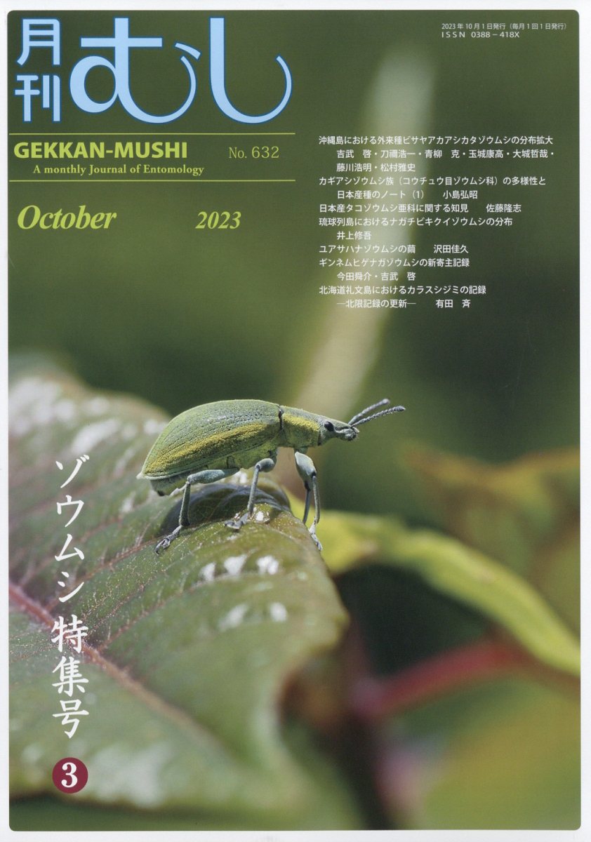 楽天ブックス: 月刊むし 2023年 10月号 [雑誌] - むし社