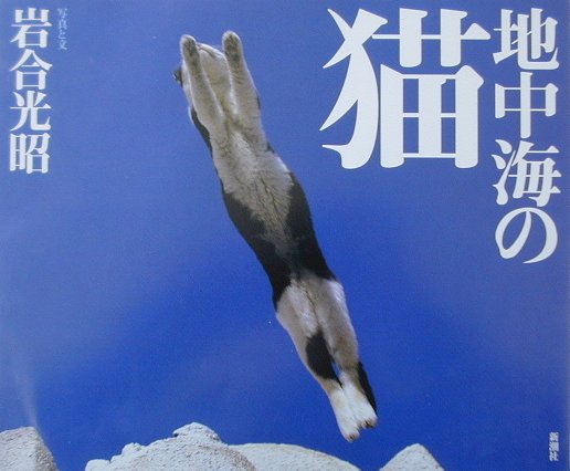 楽天ブックス: 地中海の猫 - 岩合光昭 - 9784104148035 : 本