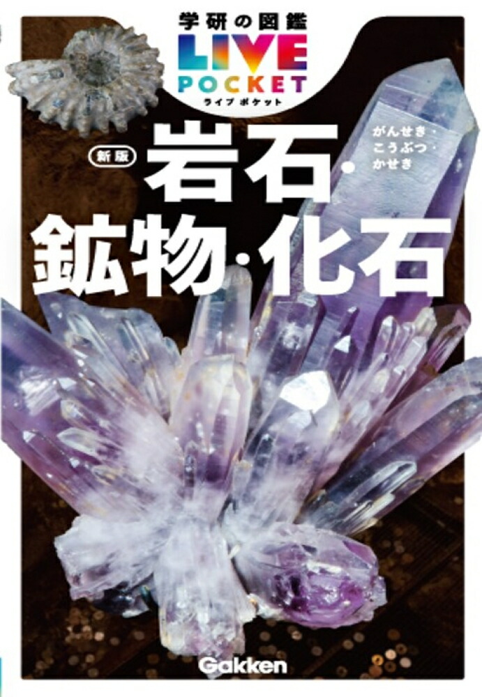 税抜総額17000円　小学館の図鑑NEO 科学の実験　鳥　岩石鉱物化石　危険生物 新版〕岩石・鉱物・化石 DVDつき (小学館の図鑑NEO 18) | 萩谷