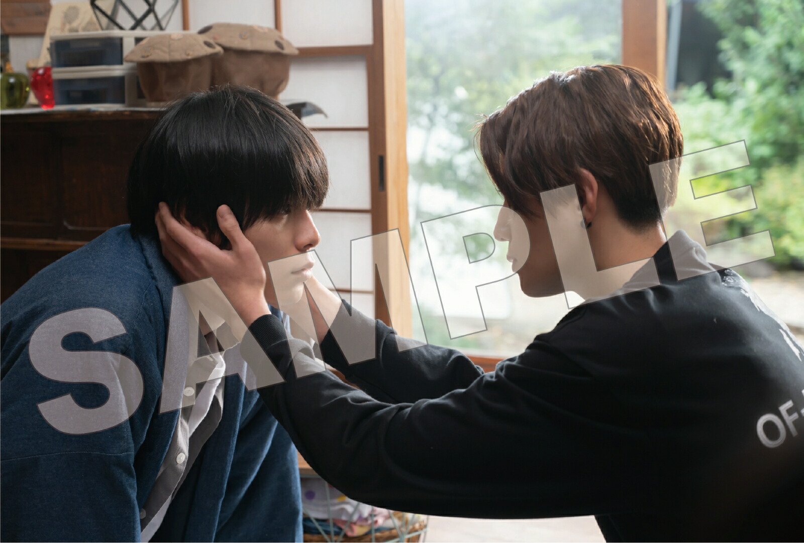 【楽天ブックス限定特典】TVドラマ＆劇場版「美しい彼」公式ビジュアルブック(フォトカード)（ロマンアルバム）