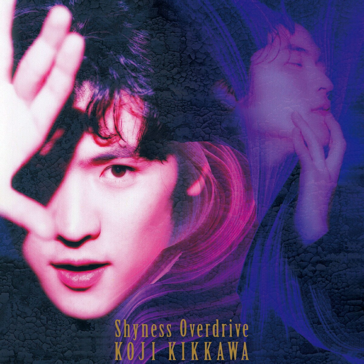 【楽天ブックス限定先着特典】Shyness Overdrive(ジャケットステッカー)画像
