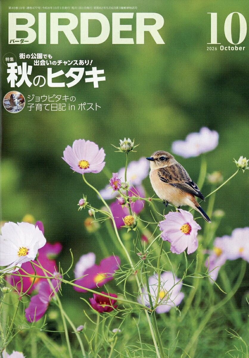 BIRDER(バーダー)2026年10月号[雑誌]