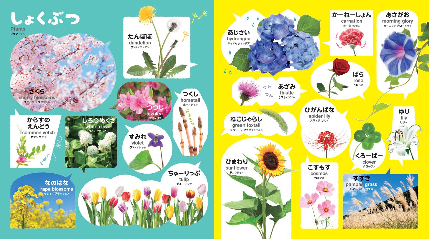 0・1・2さいのことばずかん500英語つき（あかちゃんのずかん1007）