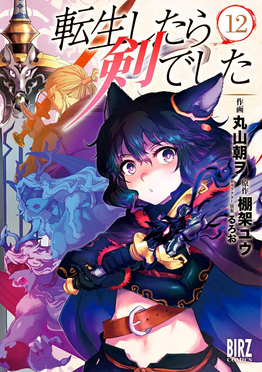 楽天ブックス: 転生したら剣でした （12） - 棚架ユウ
