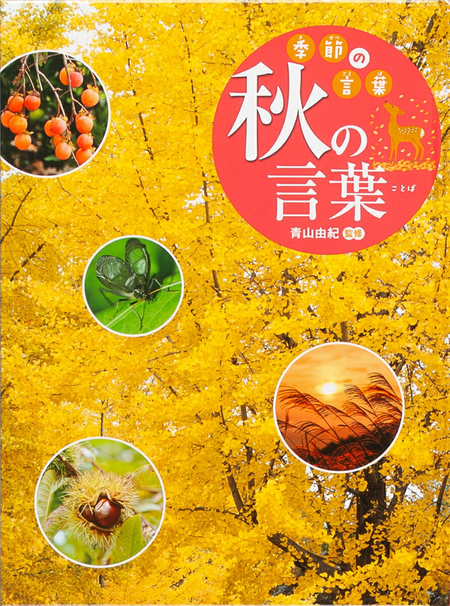 楽天ブックス 秋の言葉 青山 由紀 本