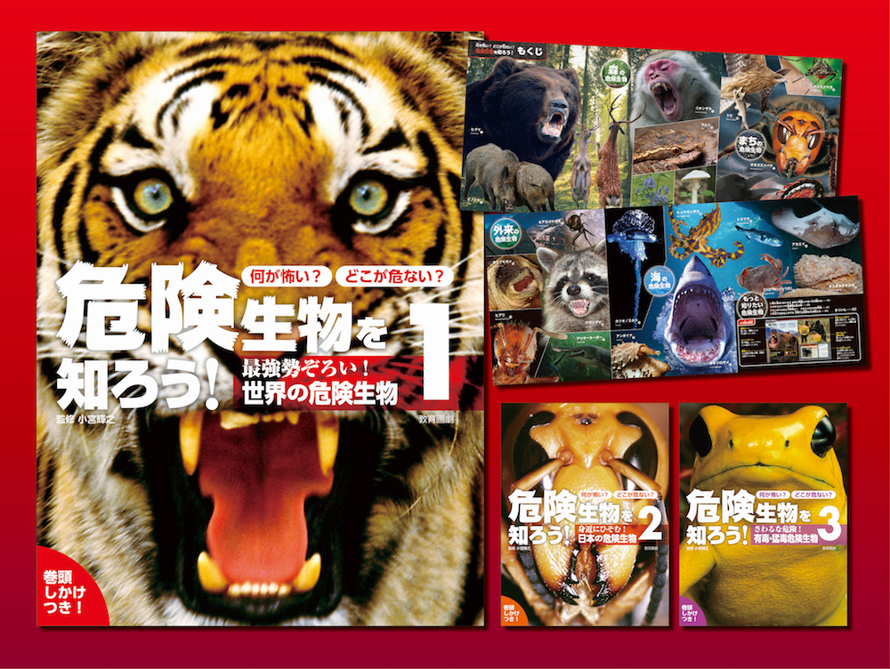 送料無料 何が怖い どこが危ない 危険生物を知ろう 全3巻セット 限定価格セール Eburnietoday Com