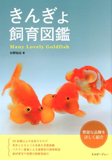 上条ケロページ　写真集+溺れる金魚小説 楽天ブックス: きんぎょ飼育図鑑 - 杉野裕志 - 9784909701091 : 本