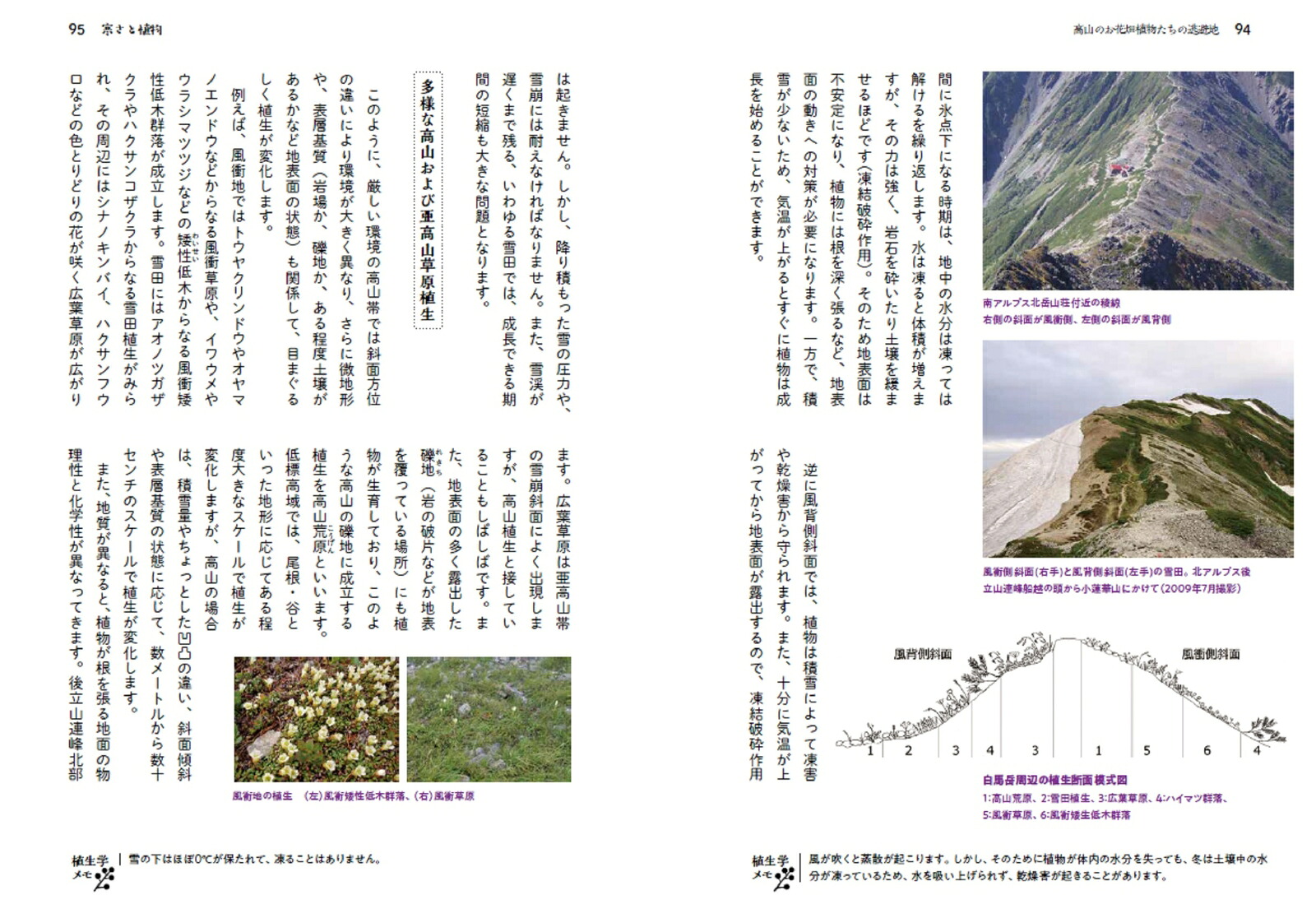 愛しの生態系研究者とまもる「陸の豊かさ」[植生学会]
