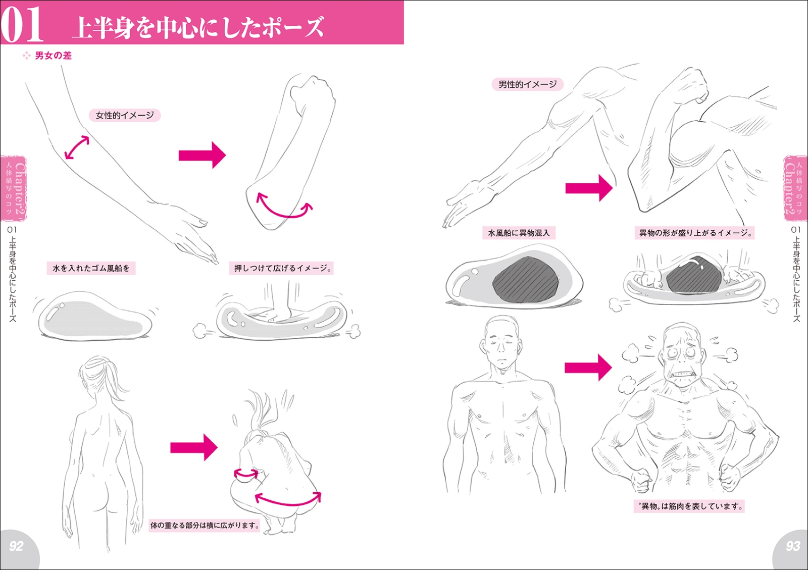 楽天ブックス 新版 人体解剖図から学ぶキャラクターデッサンの描き方 筋肉 骨格 内臓の構造を知ることで より自然な人体画が描ける 岩崎 こたろう 本