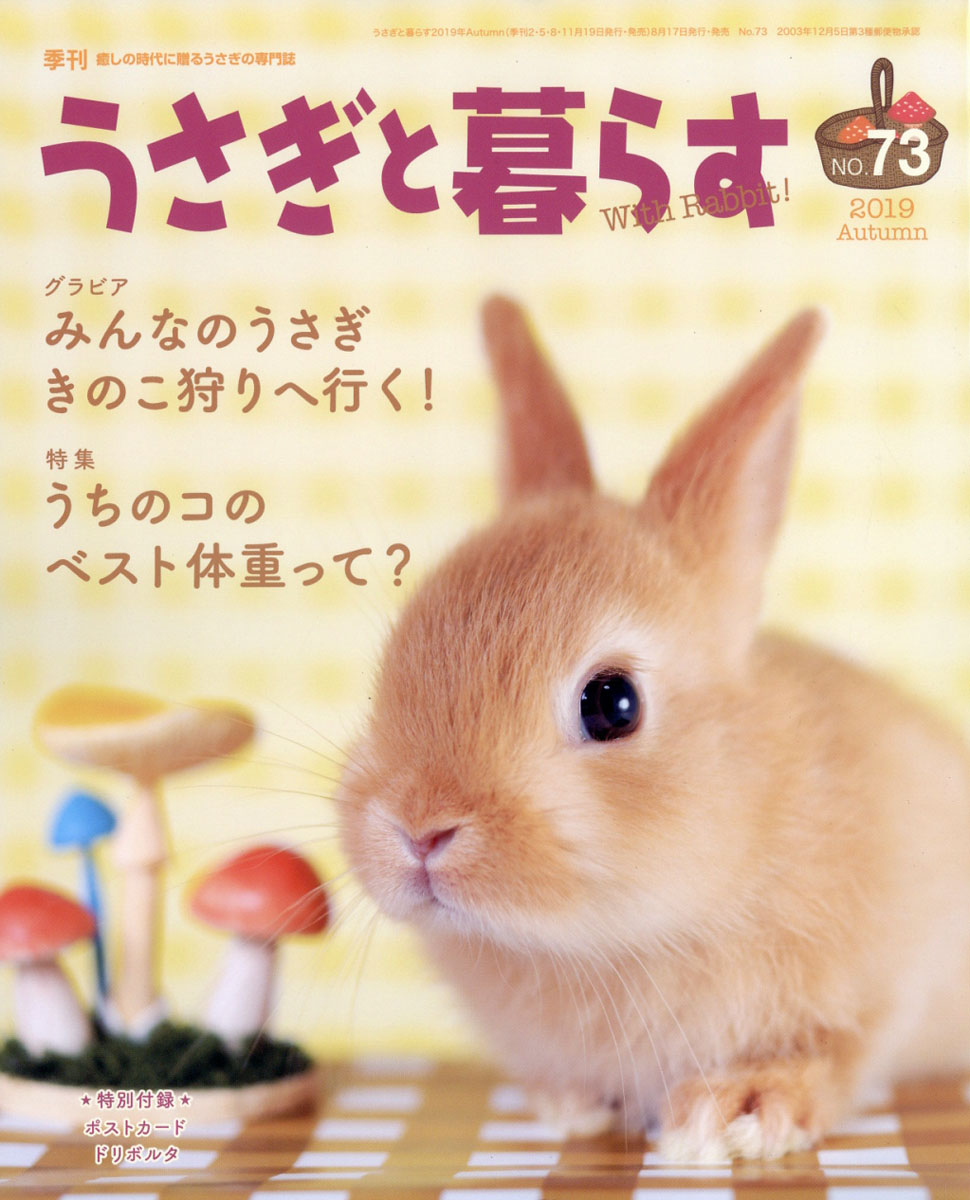 楽天ブックス うさぎと暮らす 19年 10月号 雑誌 マガジンランド 雑誌