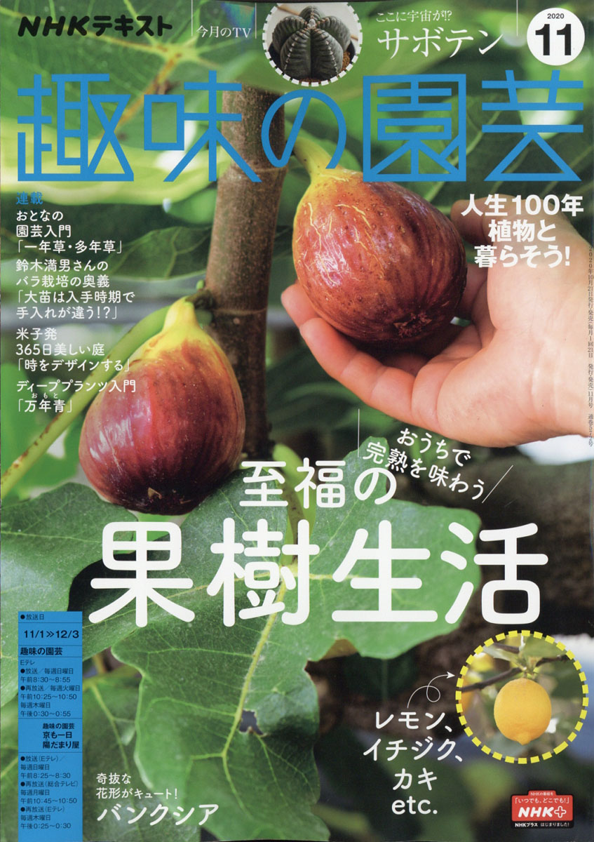 楽天ブックス Nhk 趣味の園芸 年 11月号 雑誌 Nhk出版 雑誌
