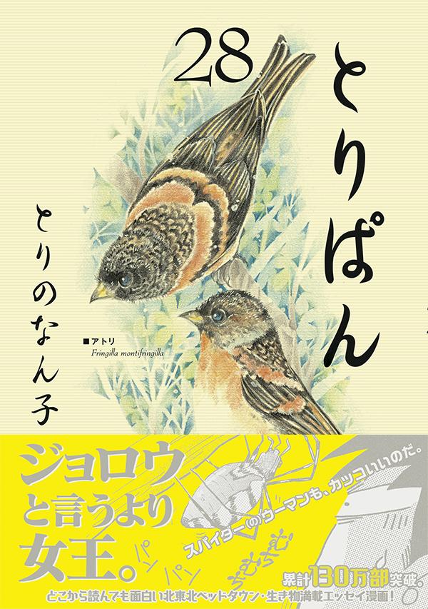 楽天ブックス とりぱん 28 とりの なん子 本