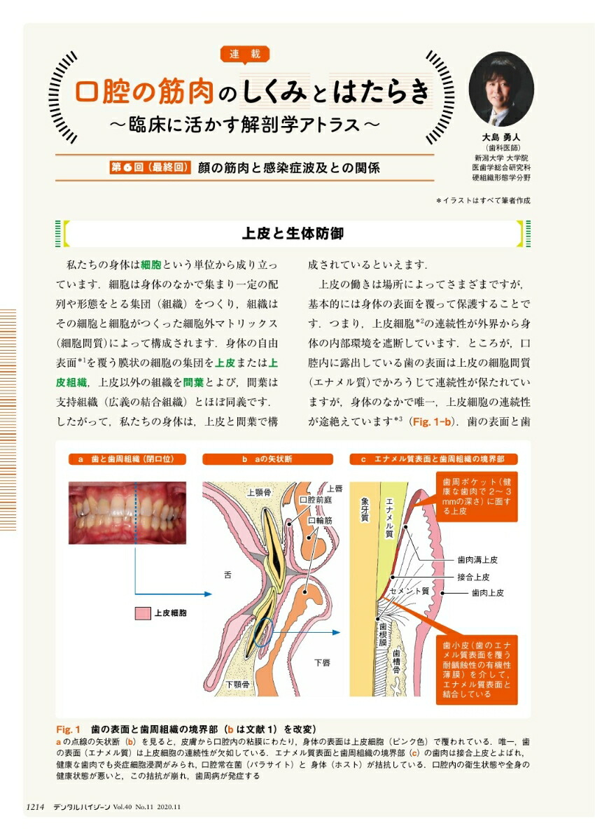 楽天ブックス デンタルハイジーン 歯科衛生士業務としての口腔内写真撮影入門 年11月号 40巻11号 雑誌 Dh 医歯薬出版 雑誌