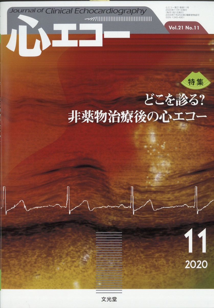 楽天ブックス 心エコー 年 11月号 雑誌 文光堂 雑誌