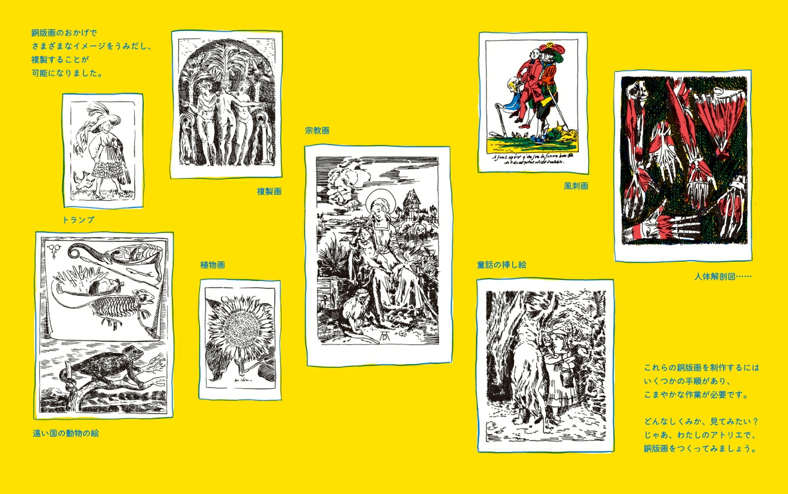 �ǥ�����Υ��ȥꥨƼ�ǰ���[����ӡ����Х���]