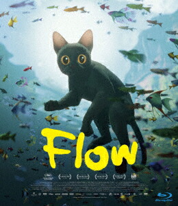 Flow【Blu-ray】画像