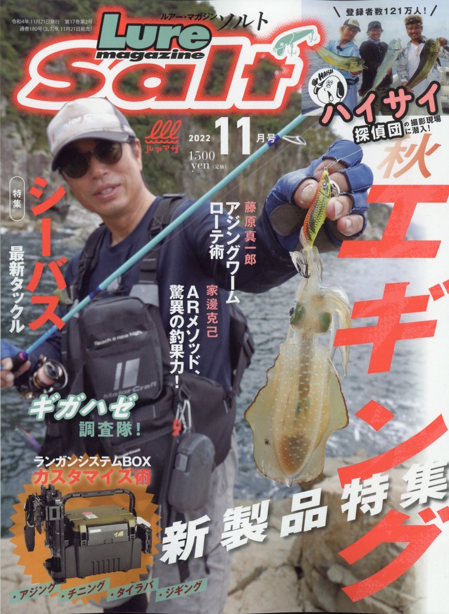 ソルト オファー 雑誌