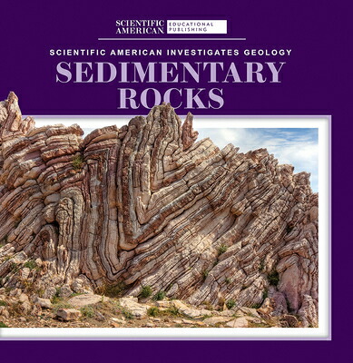 楽天ブックス: Sedimentary Rocks - Taron Longoria - 9781725351127 : 洋書