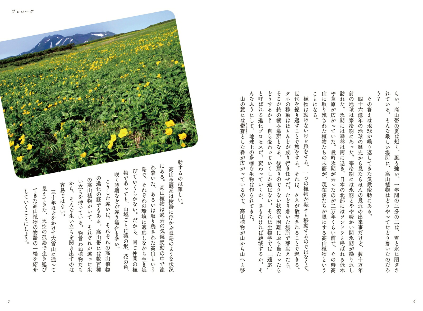 大雪山のお花畑で僕が考えたこと[工藤岳]