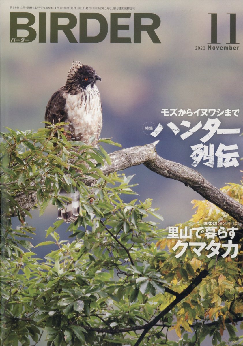 birder 雑誌 オファー