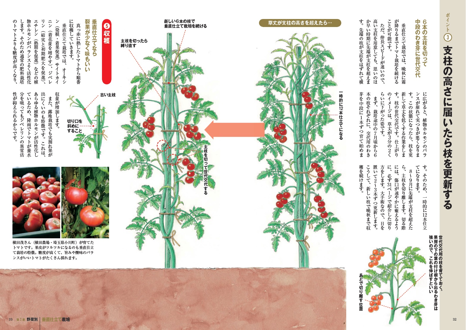 楽天ブックス 道法スタイル 野菜の垂直仕立て栽培 道法正徳 本