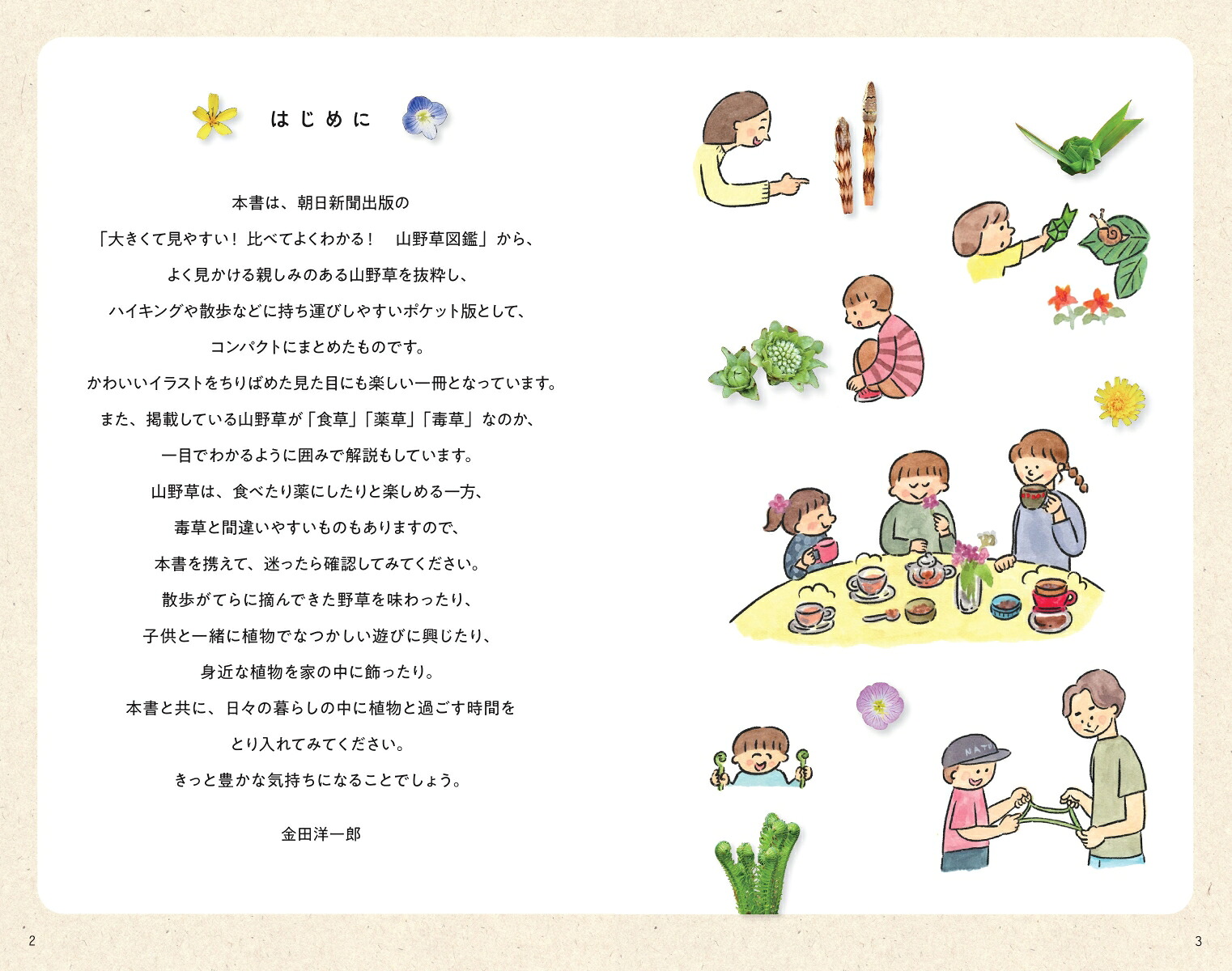 ハンディ版野草図鑑食草・薬草・毒草がわかる（アサヒ園芸BOOK）[金田洋一郎]