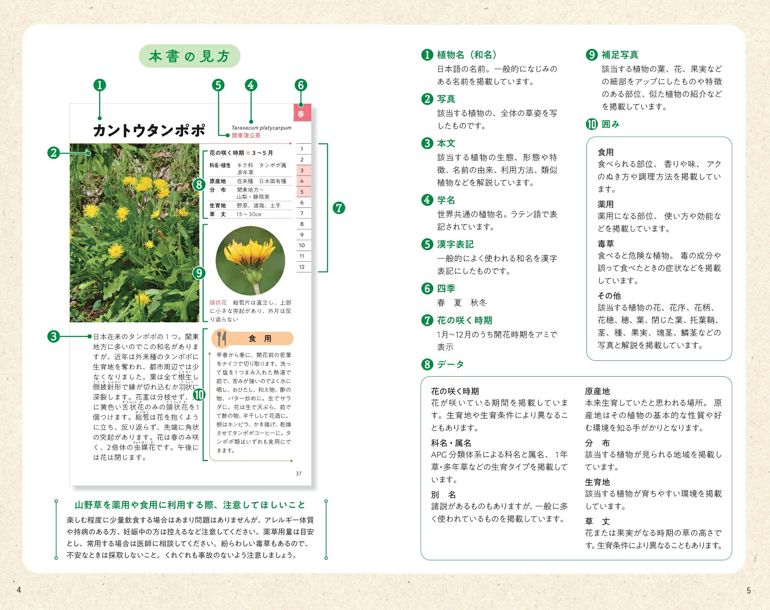 ハンディ版野草図鑑食草・薬草・毒草がわかる（アサヒ園芸BOOK）[金田洋一郎]