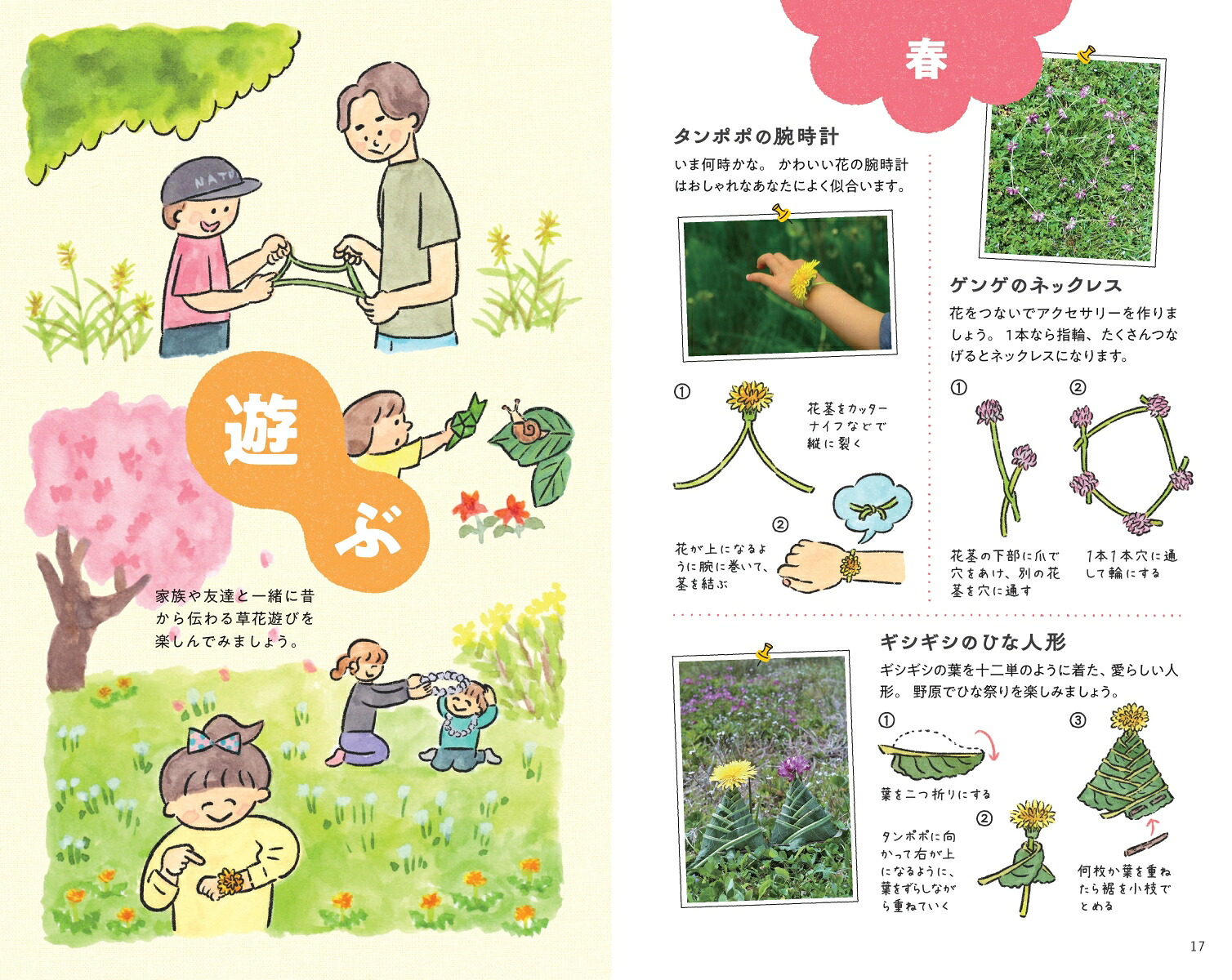 ハンディ版野草図鑑食草・薬草・毒草がわかる（アサヒ園芸BOOK）[金田洋一郎]