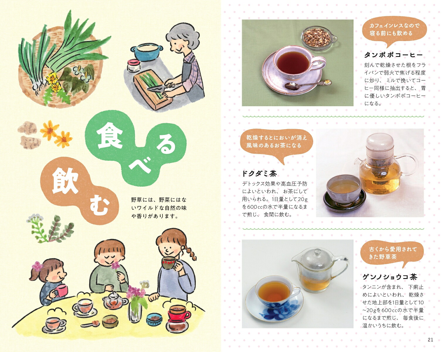 ハンディ版野草図鑑食草・薬草・毒草がわかる（アサヒ園芸BOOK）[金田洋一郎]
